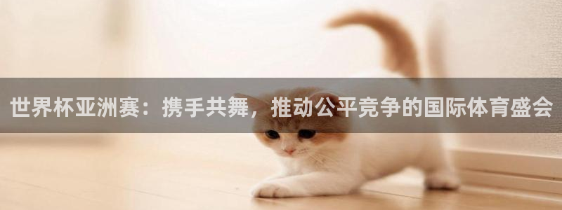 世界杯直播网：世界杯亚洲赛：携手共舞，推动公平竞争的国际体育盛会
