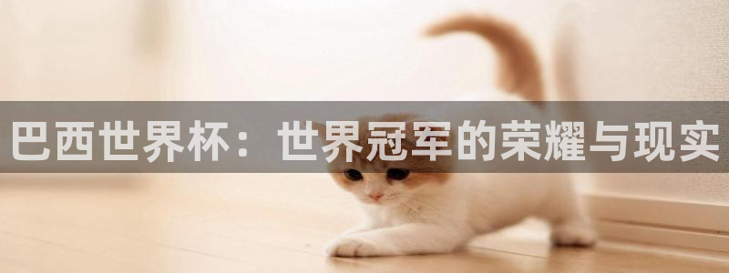 世界杯足球直播：巴西世界杯：世界冠军的荣耀与现实