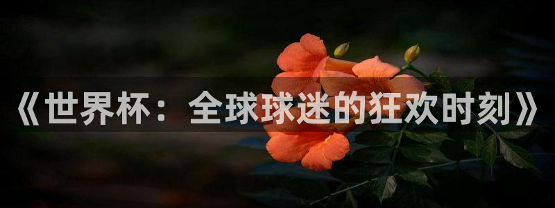 2026世界杯赛程表完整版：《世界杯：全球球迷的狂欢时刻》