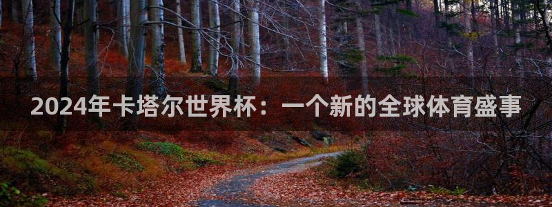 足球杯：2024年卡塔尔世界杯：一个新的全球体育盛事