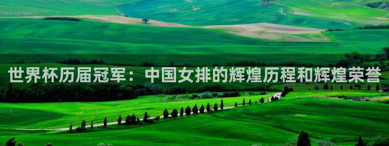 26世界杯：世界杯历届冠军：中国女排的辉煌历程和辉煌荣誉