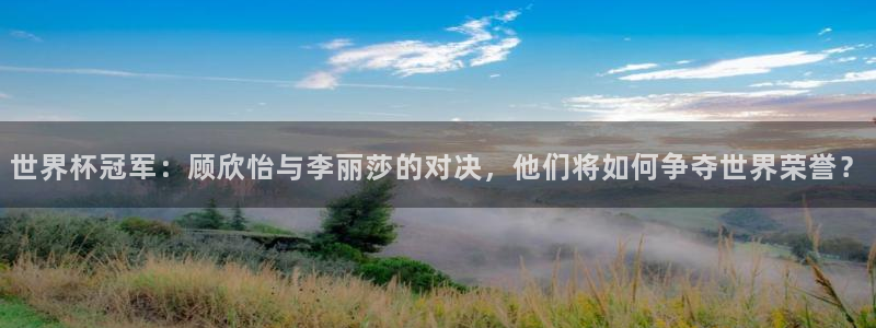 2026足球世界杯：世界杯冠军：顾欣怡与李丽莎的对决，他们将如何争夺世界荣誉？