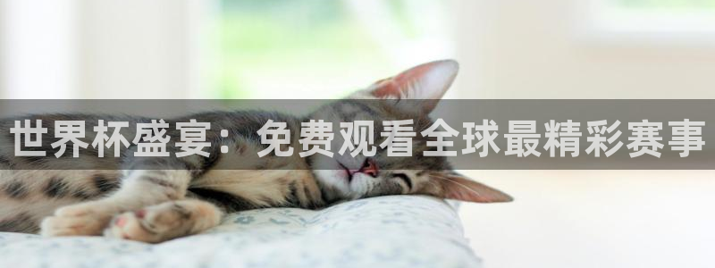 2026世界杯直播：世界杯盛宴：免费观看全球最精彩赛事