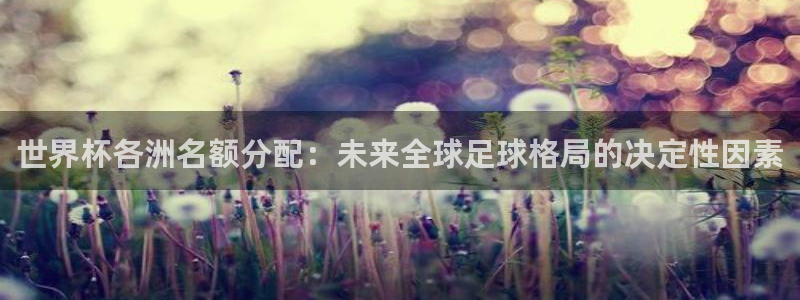 世界杯直播时间：世界杯各洲名额分配：未来全球足球格局的决定性因素