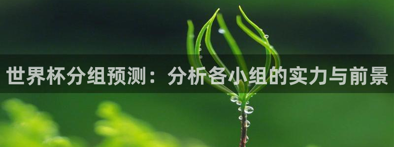 世界杯赛程2026：世界杯分组预测：分析各小组的实力与前景