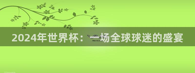 世界杯决赛圈球队：2024年世界杯：一场全球球迷的盛宴
