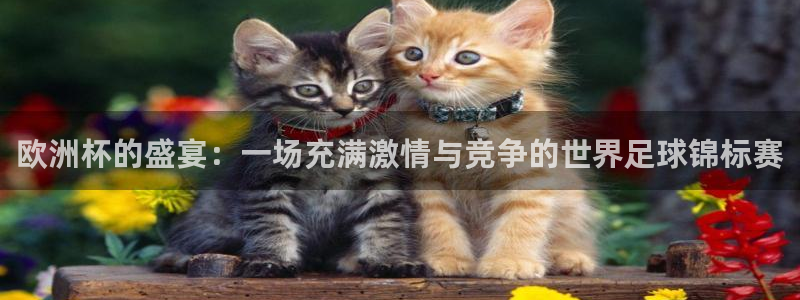 2026世界杯赛：欧洲杯的盛宴：一场充满激情与竞争的世界足球锦标赛