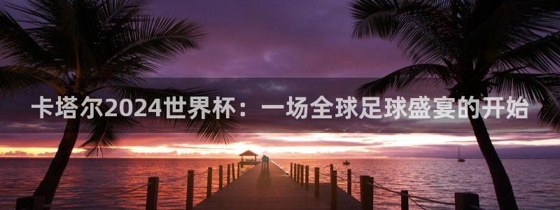 世界杯直播：卡塔尔2024世界杯：一场全球足球盛宴的开始