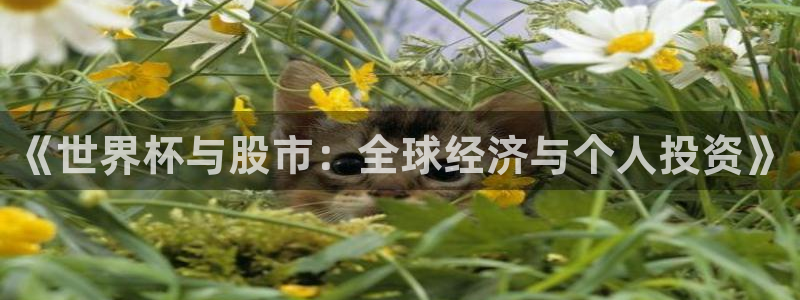 世界杯今日赛程直播：《世界杯与股市：全球经济与个人投资》
